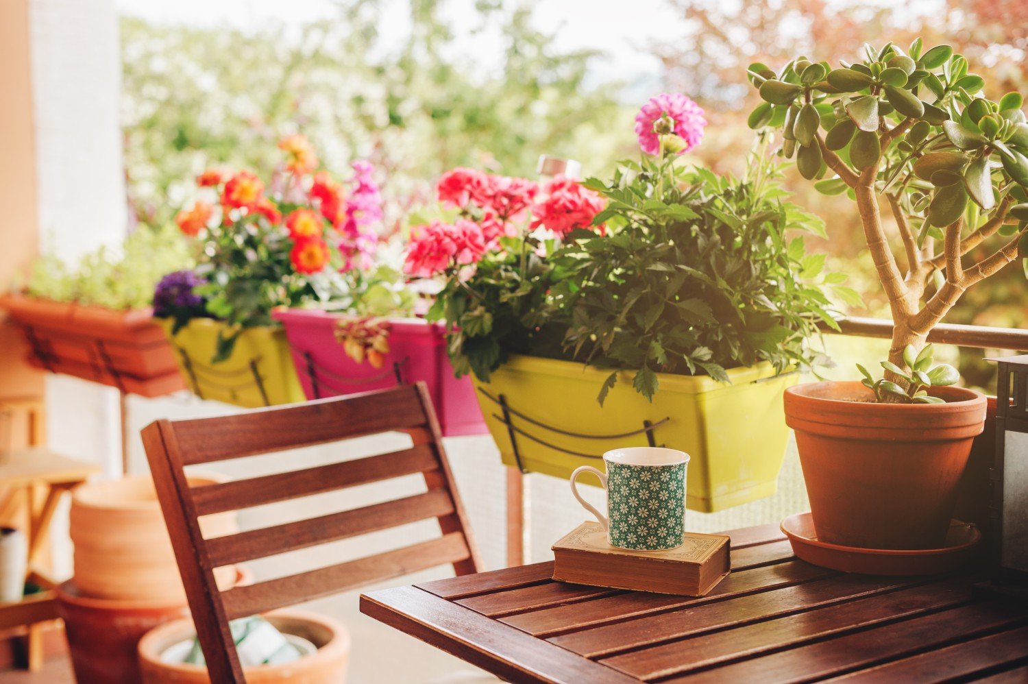 An array of potted plants and flowers create a beautiful balcony garden for retirement