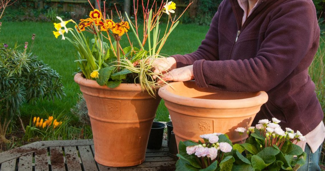 a person watering a potted plant
