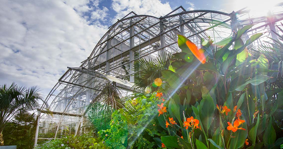a large greenhouse with orange flowers