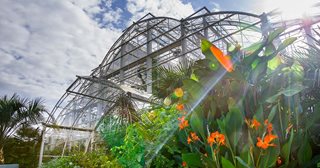 a large greenhouse with orange flowers