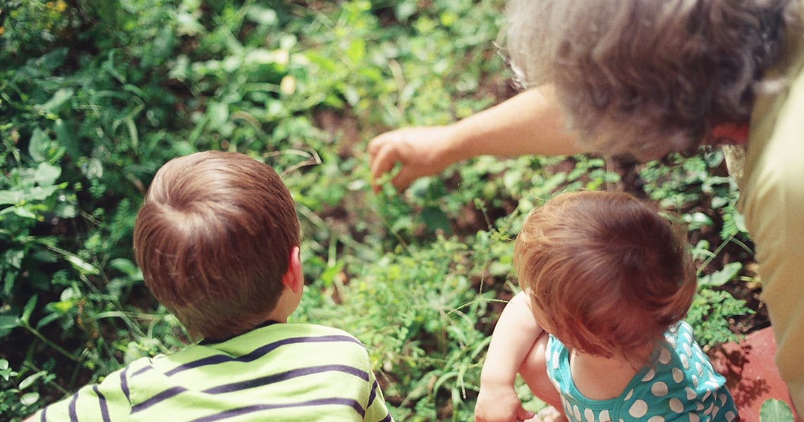 a couple of children looking at a tree