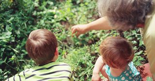 a couple of children looking at a tree