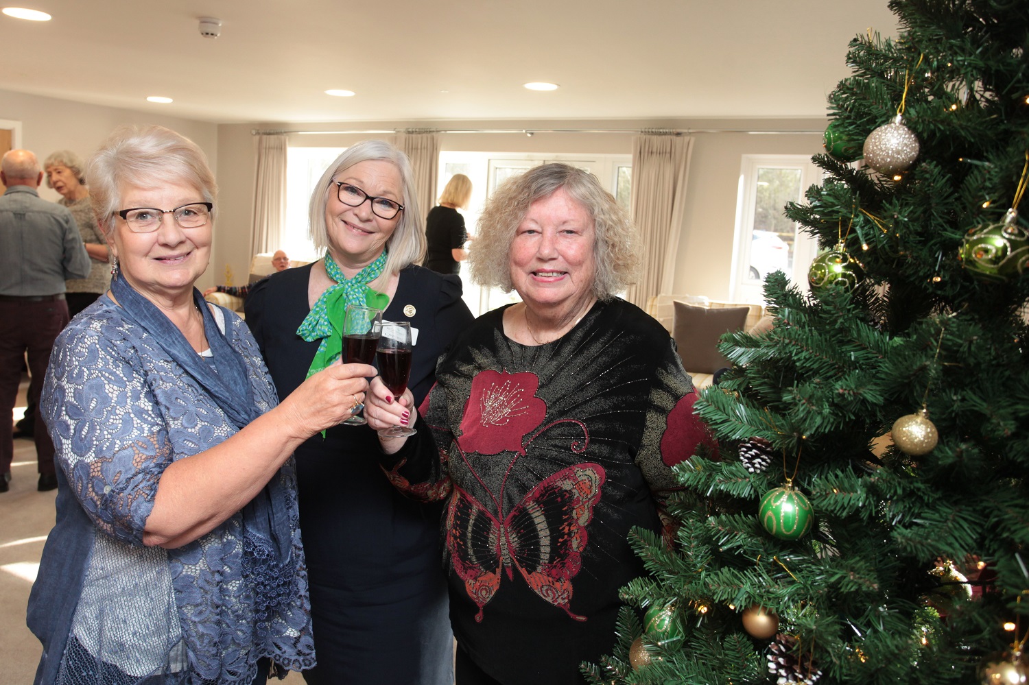 Pinnoc-mews-at-home-Christmas