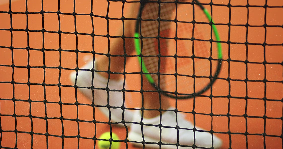 a cat behind a net