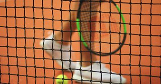 a cat behind a net