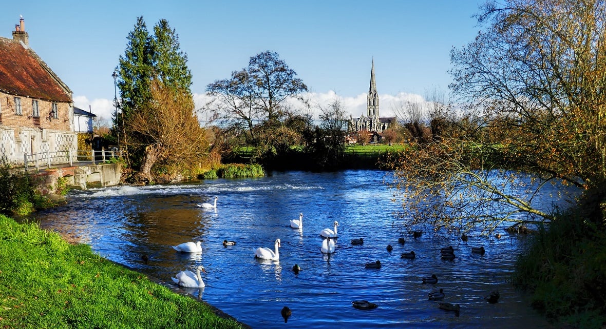 Swans on a lake with an old building to the side and Salisbury Cathedral in the distance