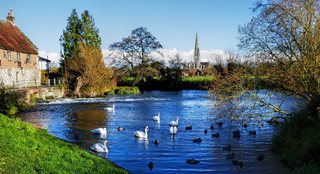Swans on a lake with an old building to the side and Salisbury Cathedral in the distance