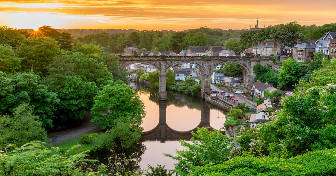 a river with a bridge and trees