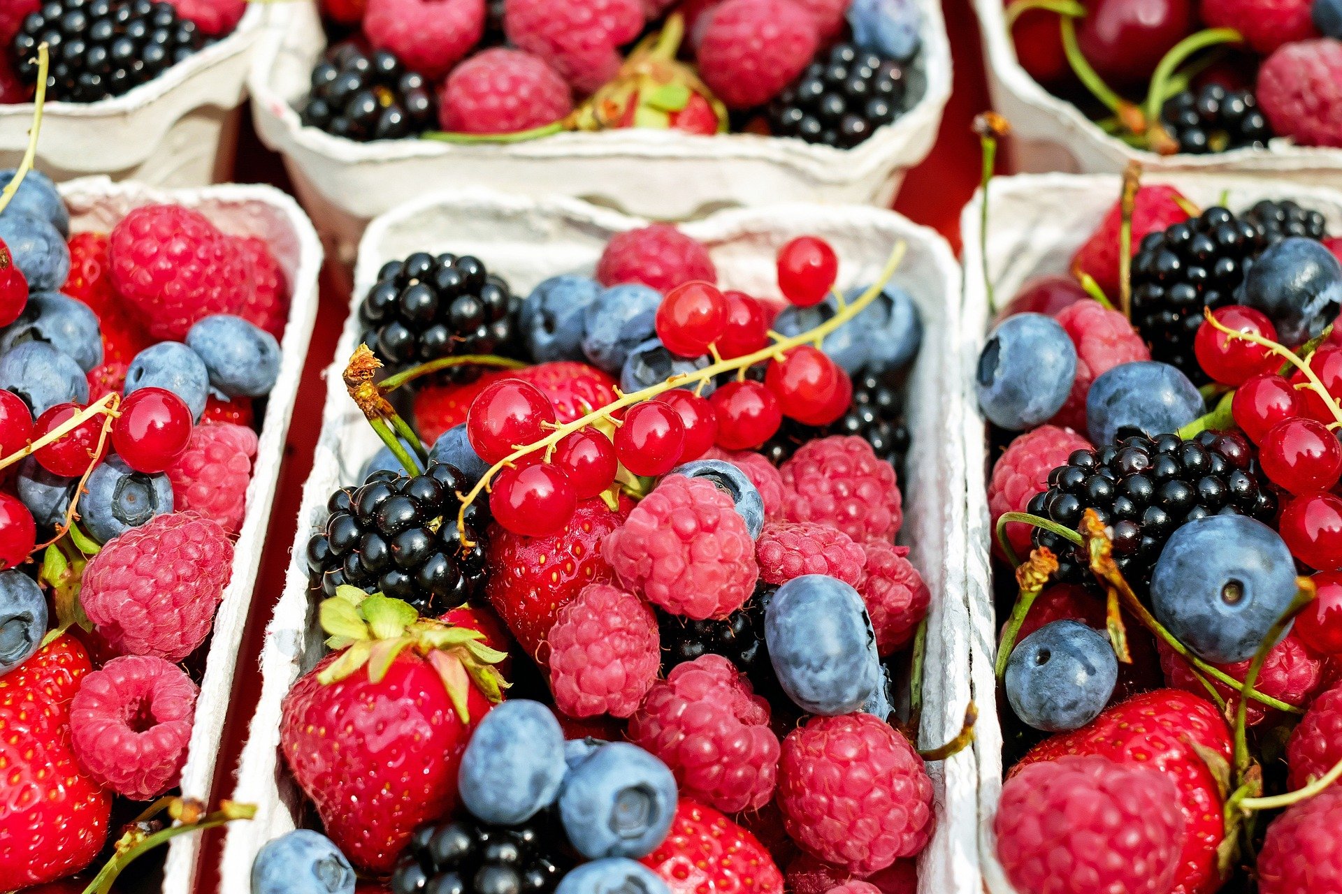 summer berries for summer pudding 