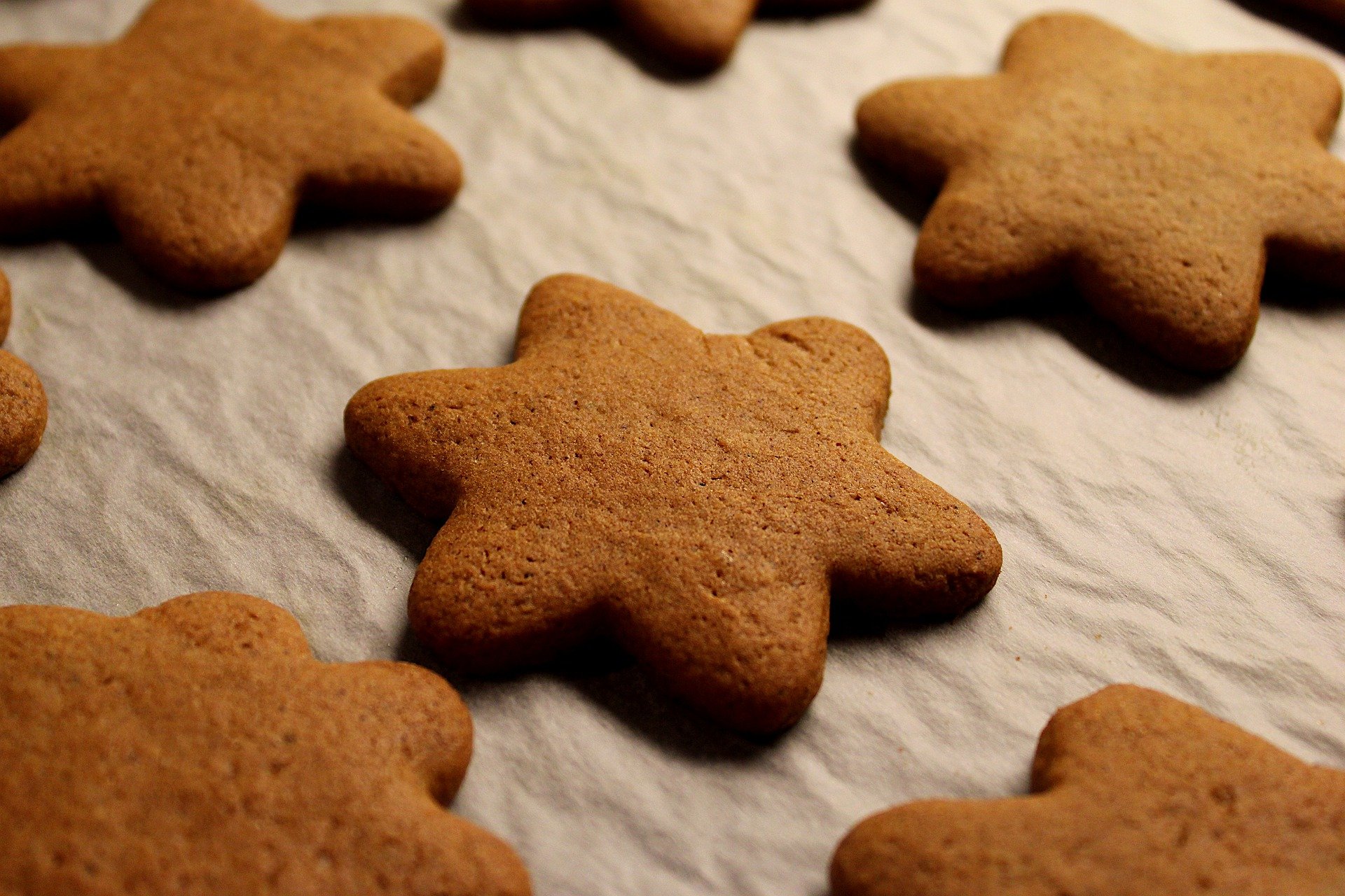 Vegan Gingerbread