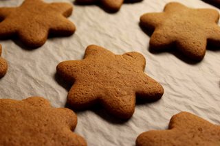 Vegan Gingerbread