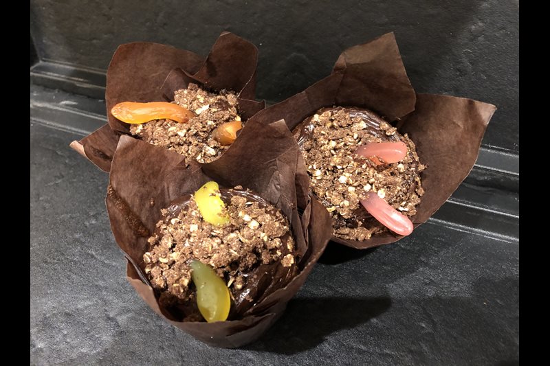Wiggly_worms_cupckaes_McCarthyStone