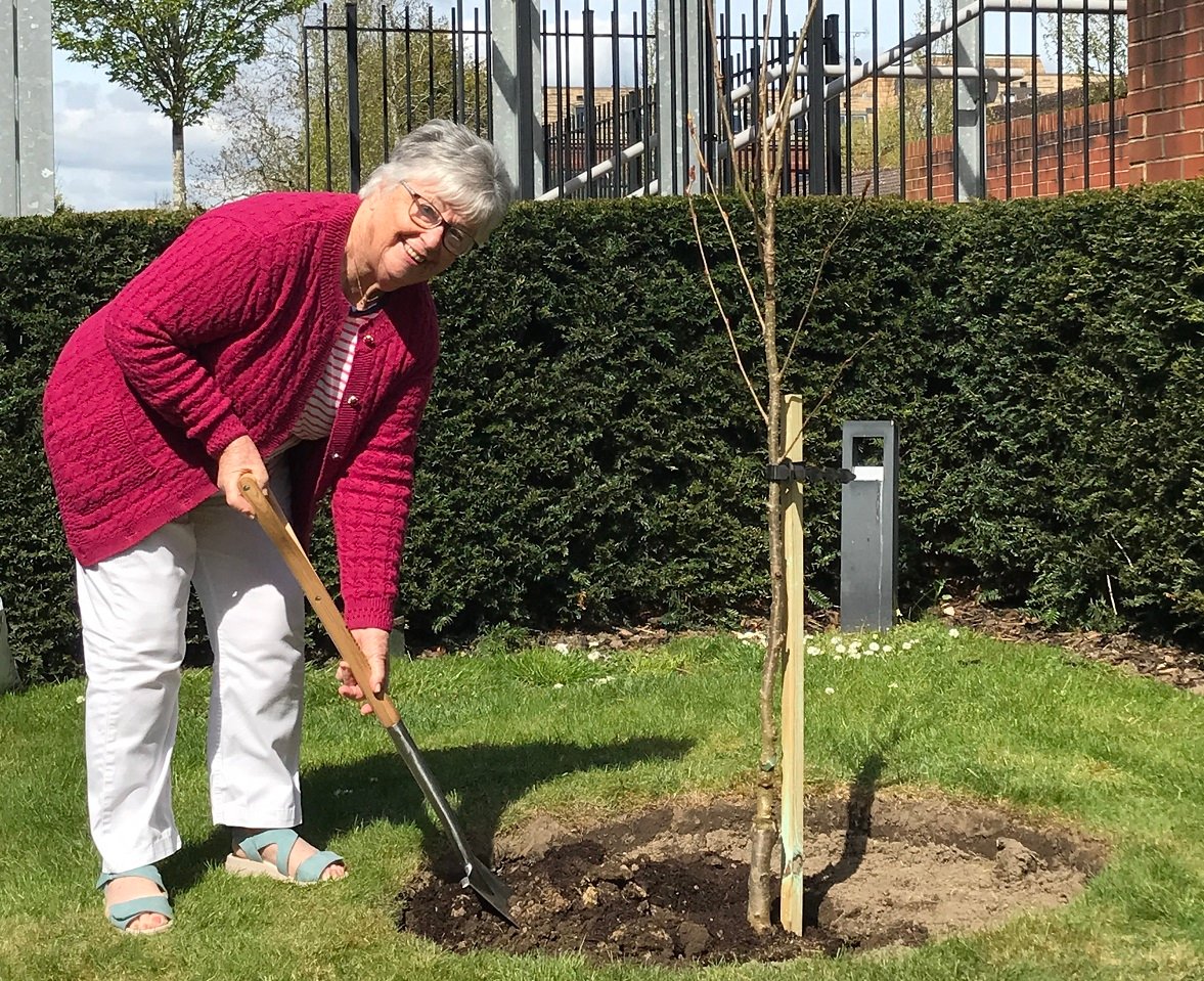 Tree planting at Clayton Court