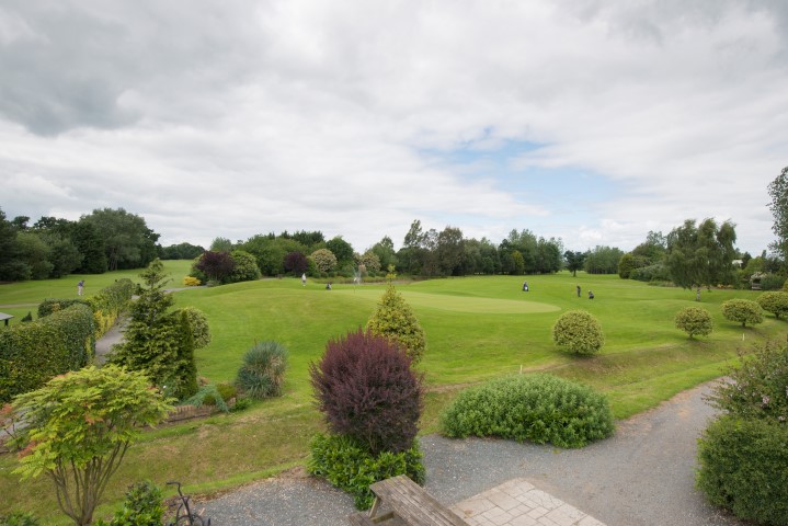 a landscape with trees and bushes