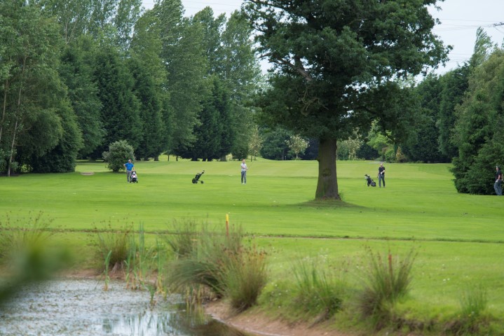 people on a golf course