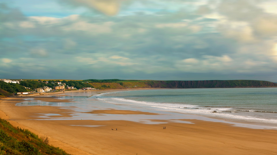 a beach with a body of water and trees in the background