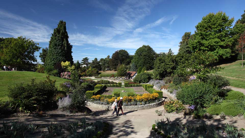 a couple people walking on a path through a garden