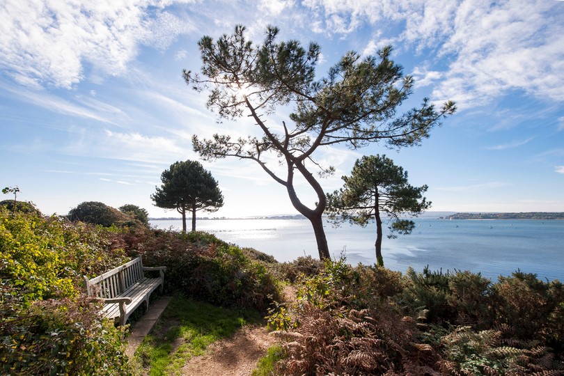 Retirement Homes for sale/rental in Dorset Greenhaven McCarthy Stone