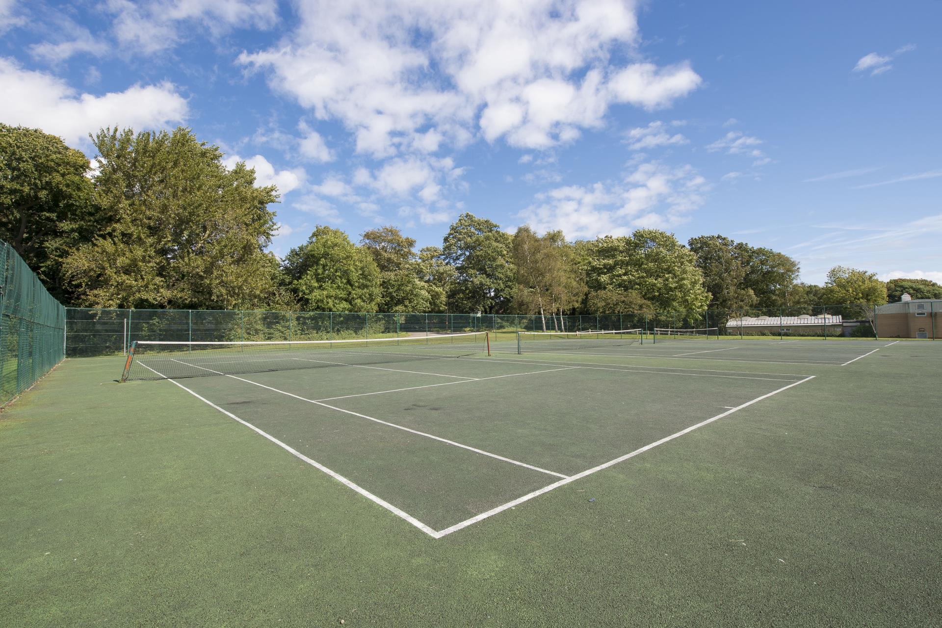 a tennis court with trees