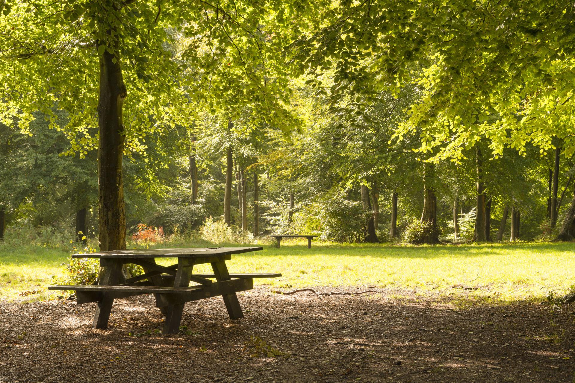 a picnic table in a park