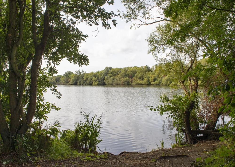 loddon house local lake