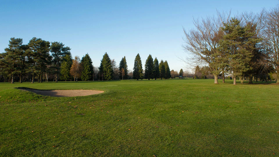 a golf course with trees