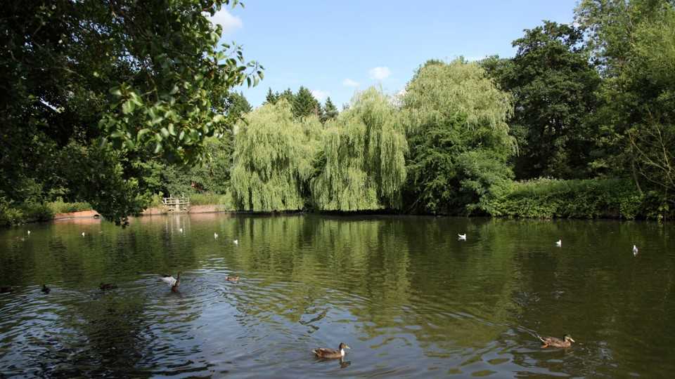 a body of water with trees around it