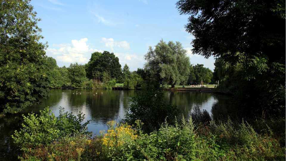 Retirement Homes for rental in West Midlands Linden Place McCarthy