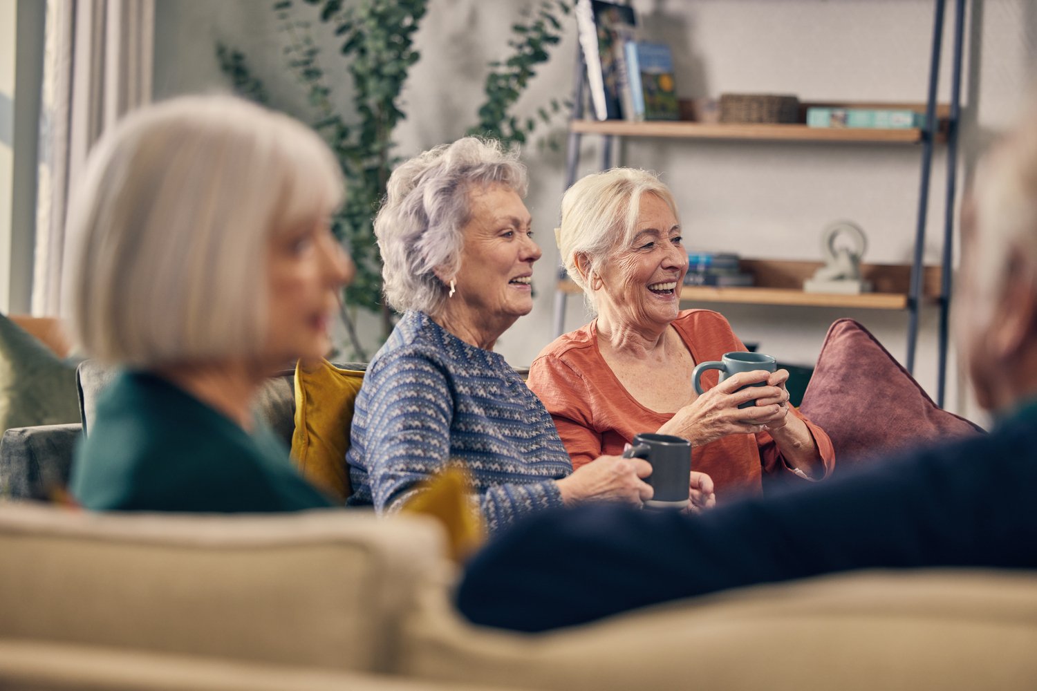A group of retired women socialising in the homeowners lounge.