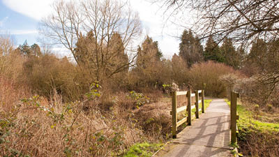 a path through a park
