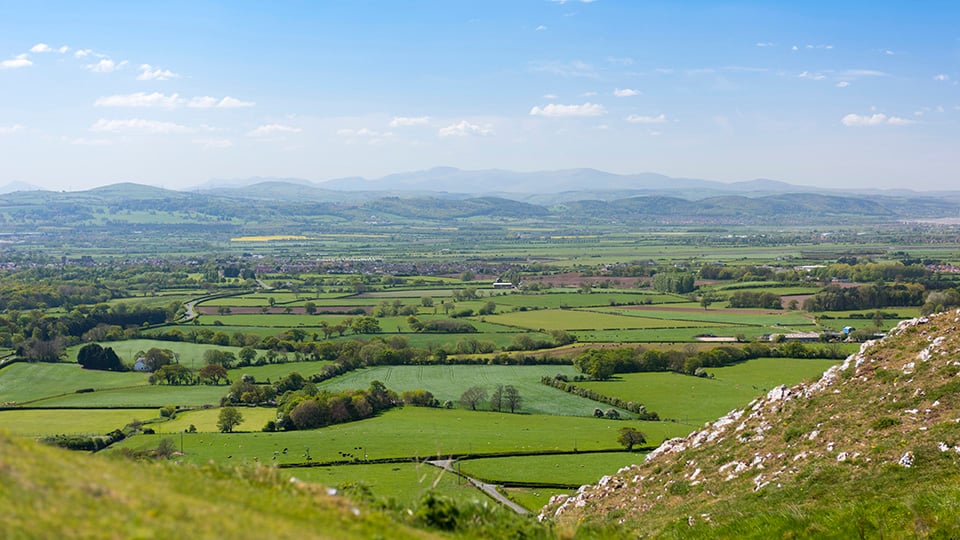 a landscape with trees and hills