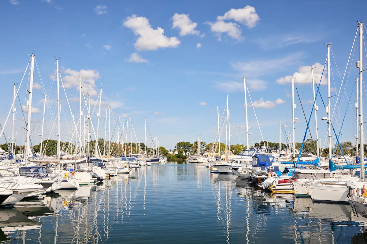 a marina full of boats