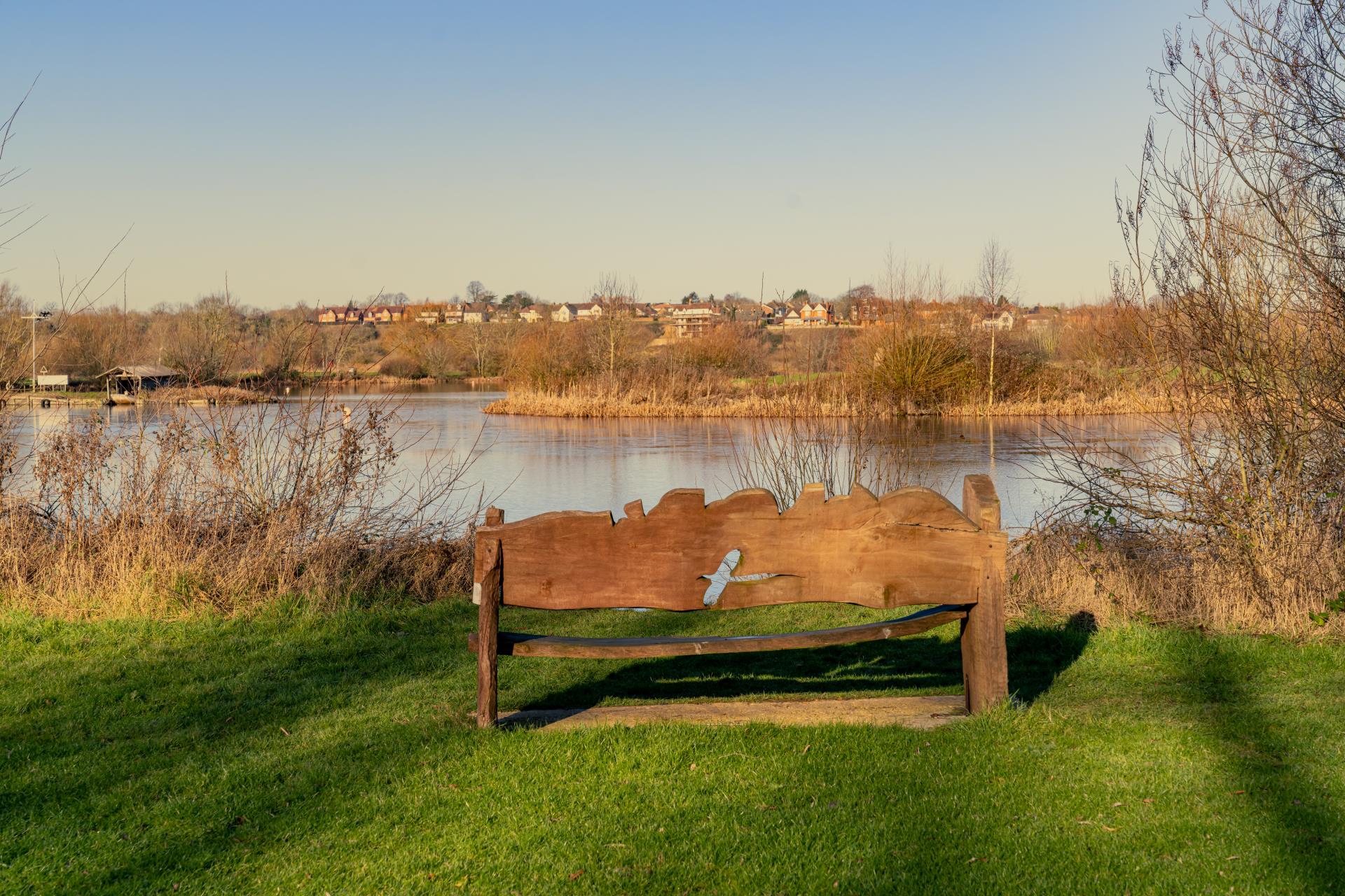 a bench sits unoccupied