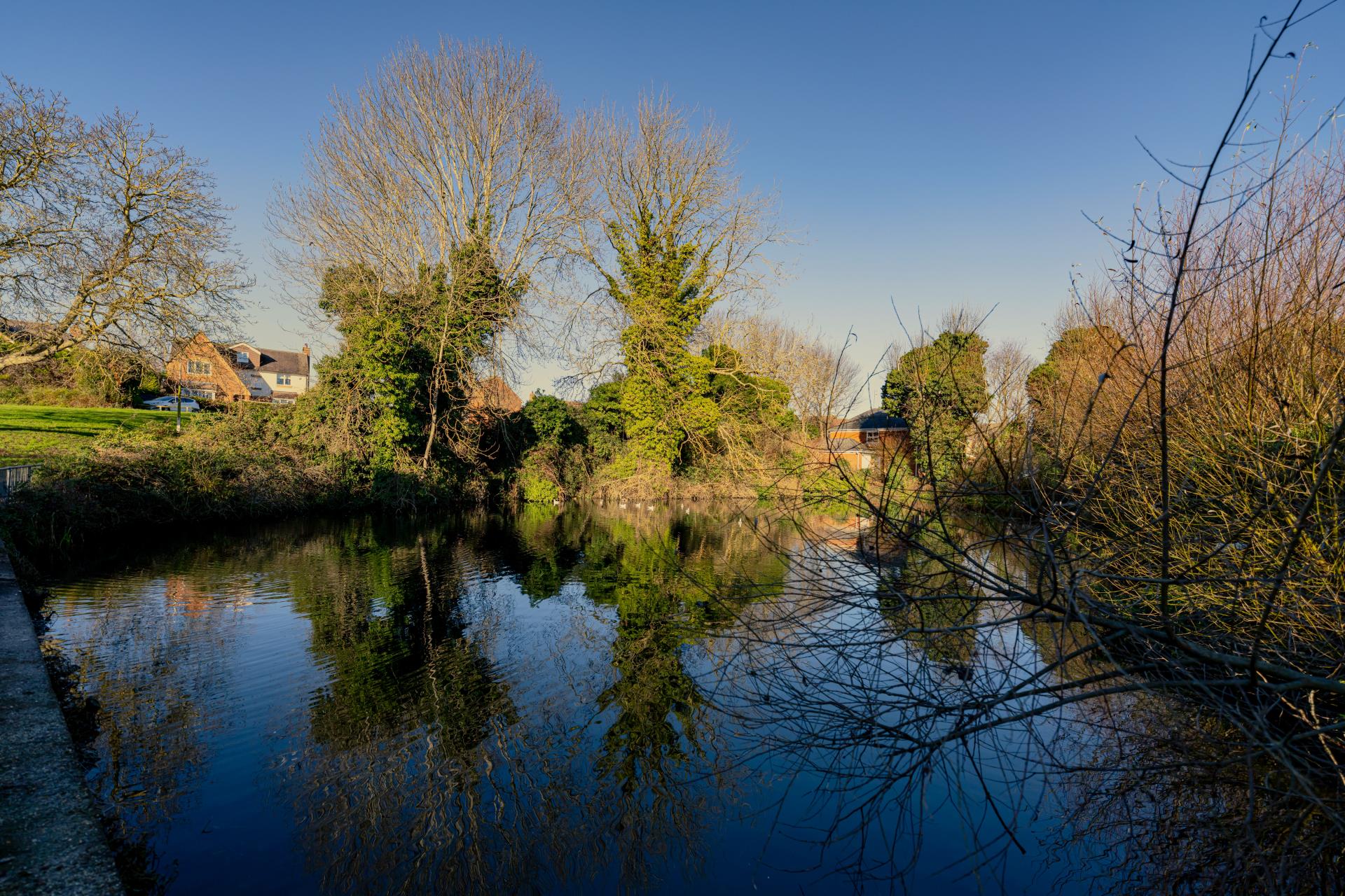 a body of water with trees around it