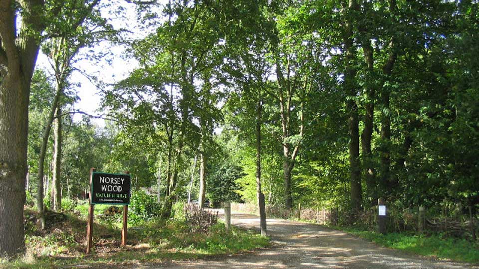 a sign in the woods