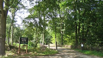 a sign in the woods