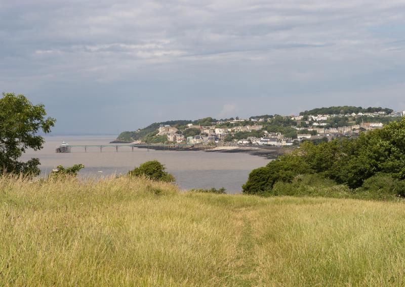Clevedon local area