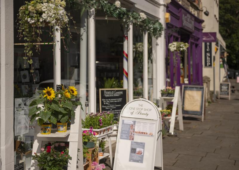 Clevedon local area