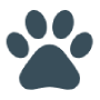 a black and white image of a black and white cat