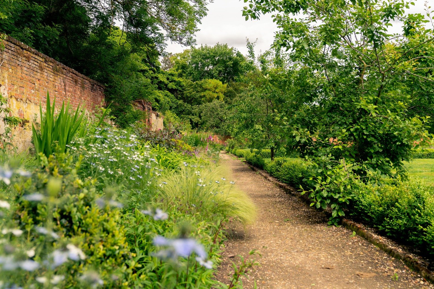 A walled garden in Great Dunmow, Essex