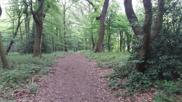 hillingdon_trail