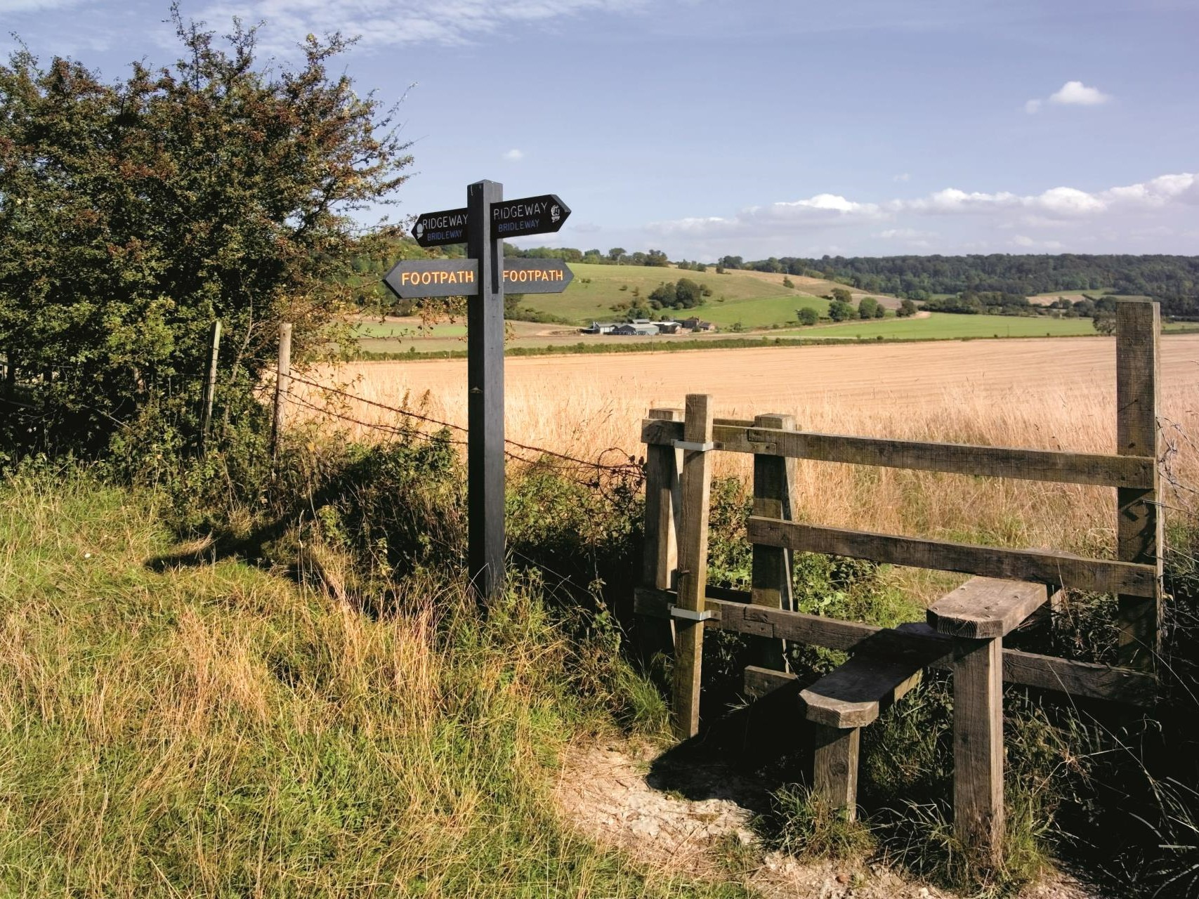 a sign in a field