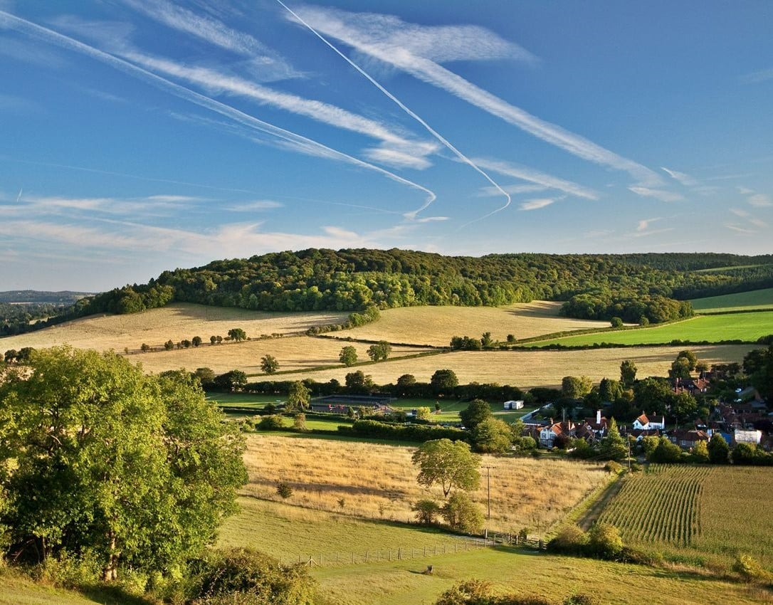a large field with trees and people in it