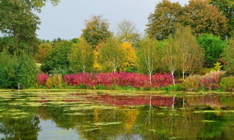 RHS Garden at Hyde Hall, Essex