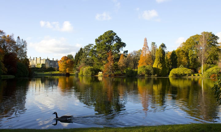 a body of water with trees around it