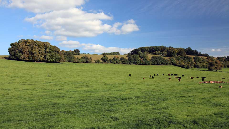 South Downs