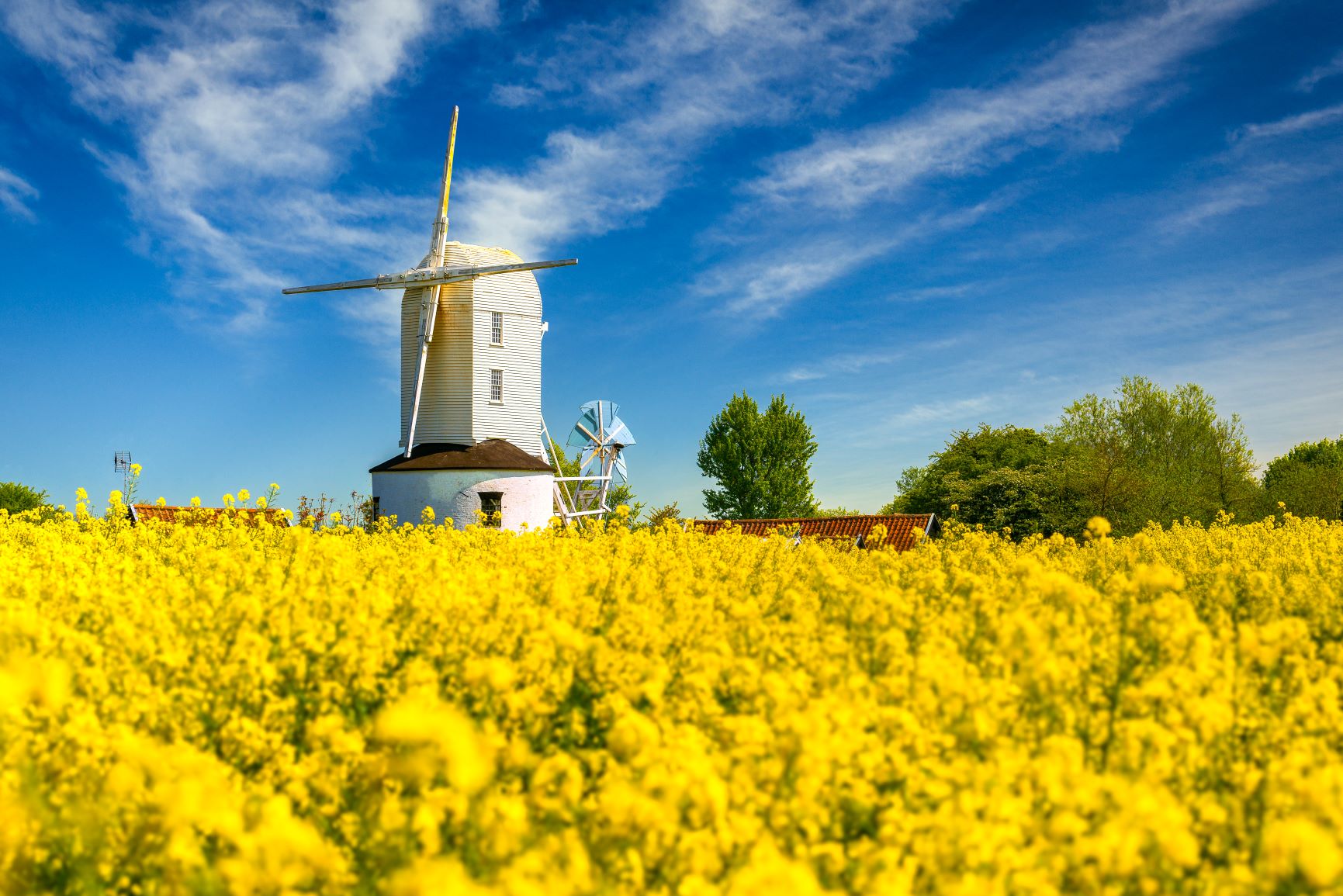 White windmill Norfolk 