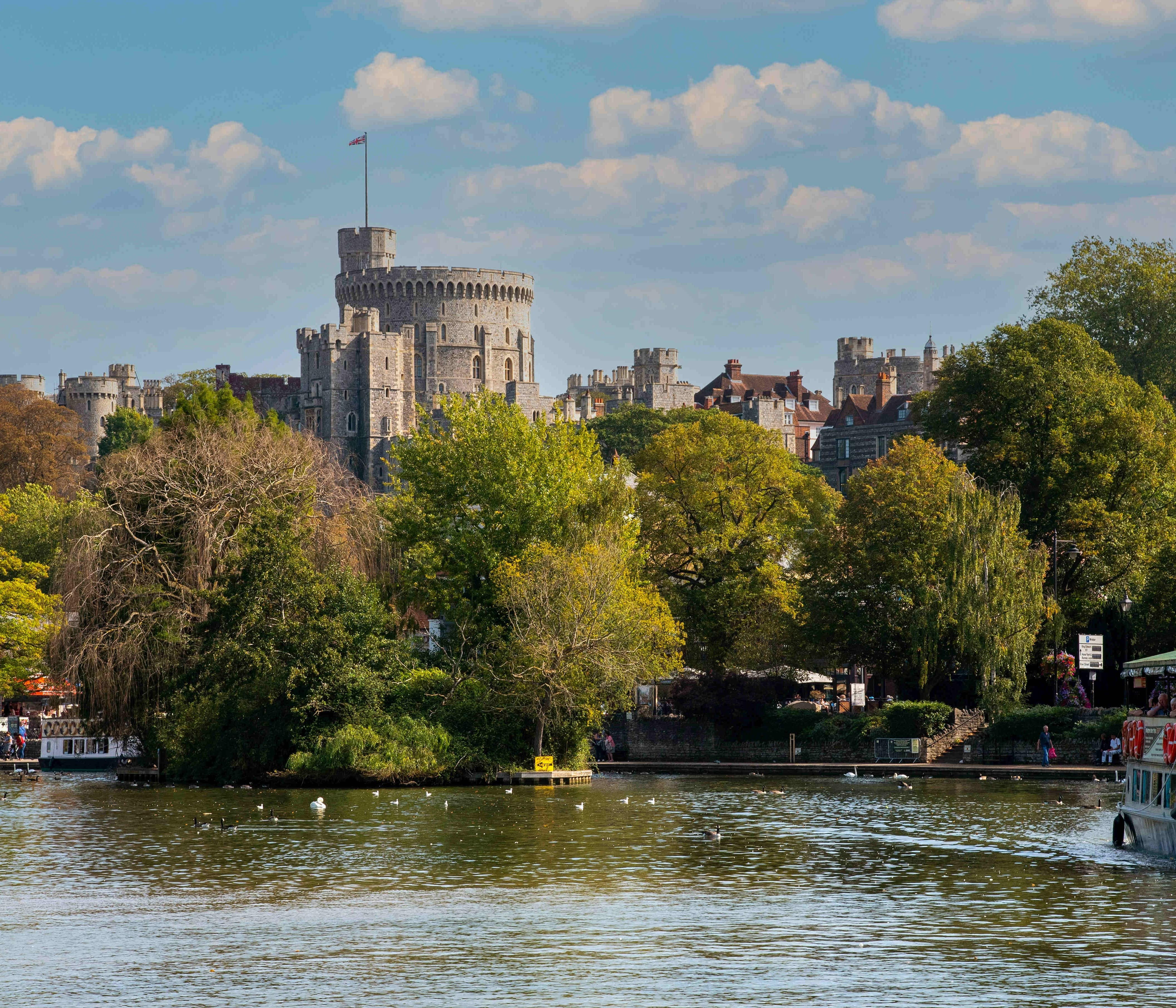 a body of water with trees and buildings in the background