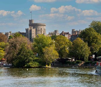a body of water with trees and buildings in the background