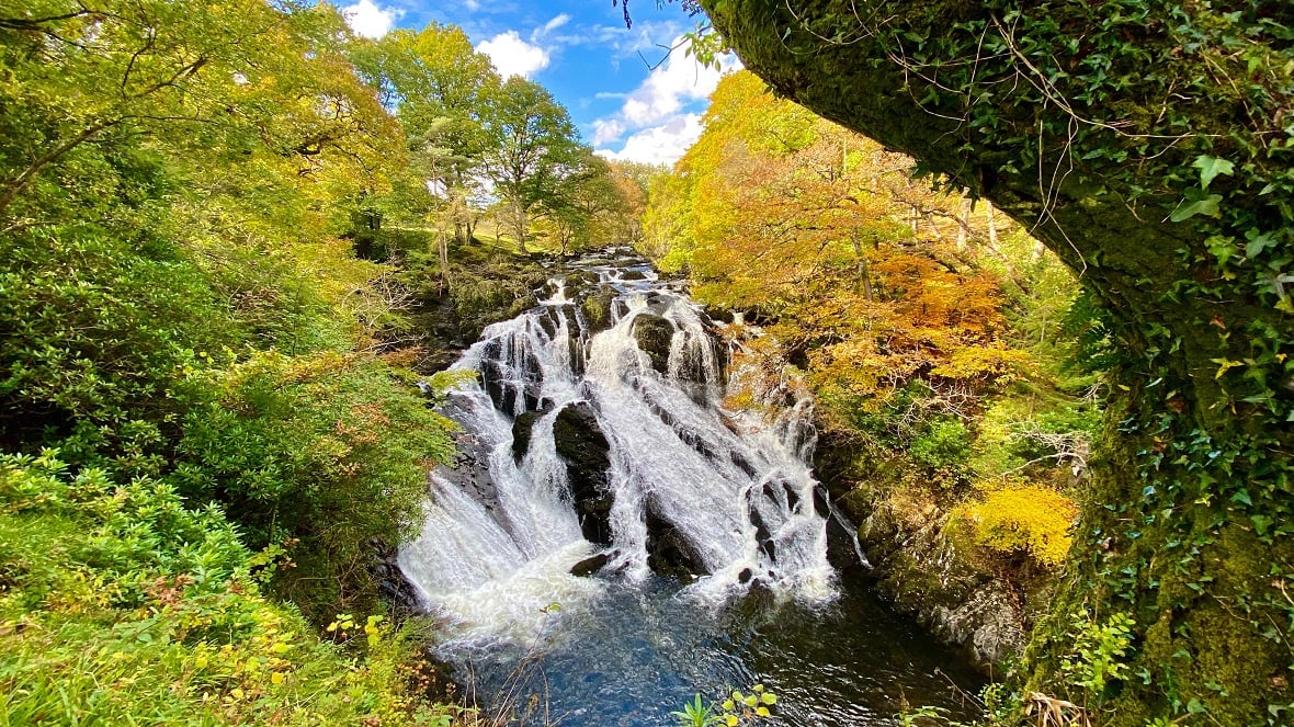 A wooded area in Wales with a waterfall and stream